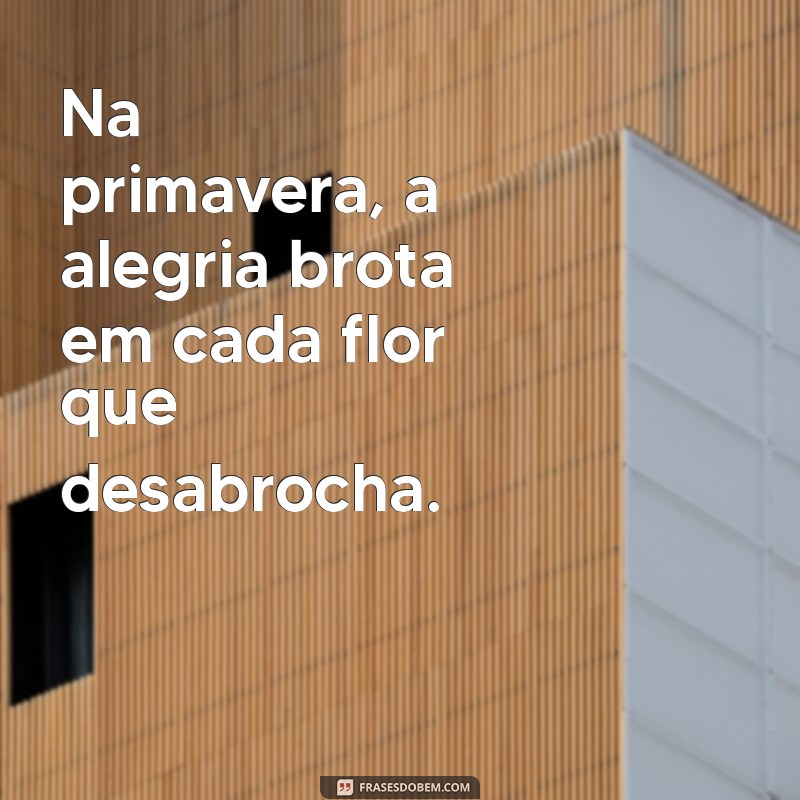 Frases Inspiradoras sobre Primavera e Flores para Renovar seu Dia 