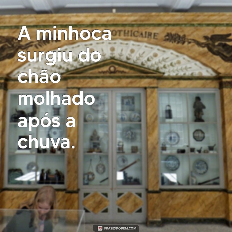 frases com minhoca A minhoca surgiu do chão molhado após a chuva.