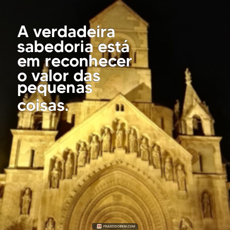 mensagem sabia sobre a vida A verdadeira sabedoria está em reconhecer o valor das pequenas coisas.