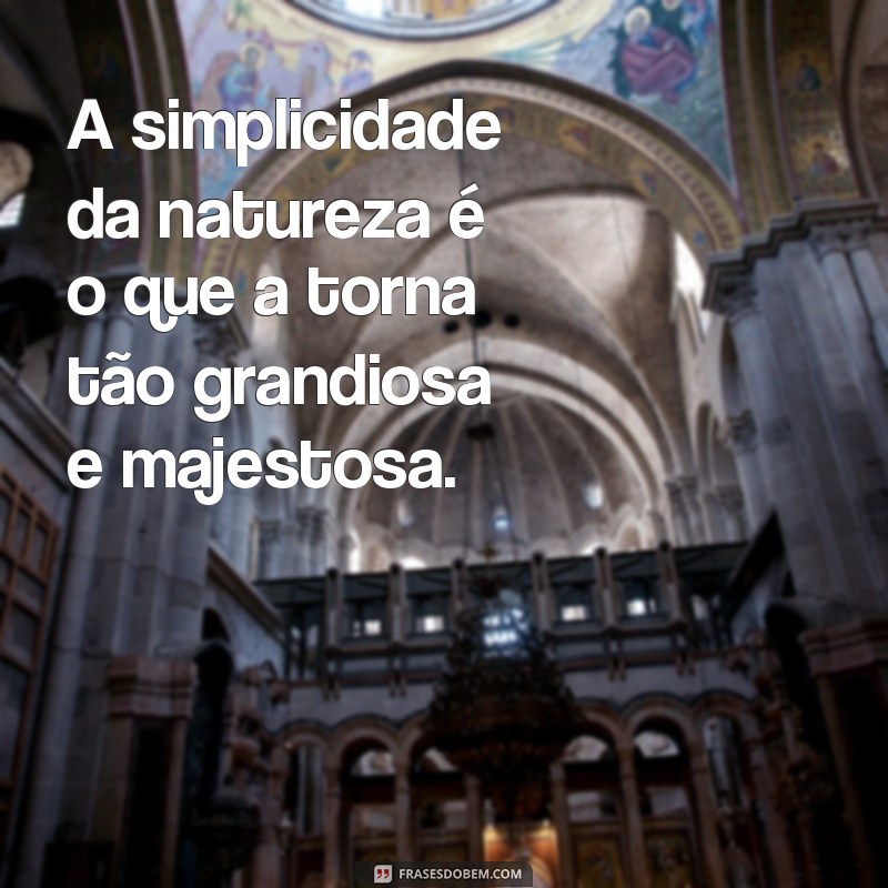 Descubra as mais belas frases de natureza para inspirar seu perfil no Tumblr 