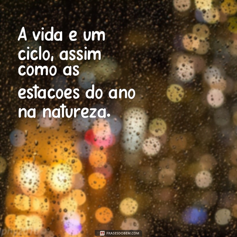 Descubra as mais belas frases de natureza para inspirar seu perfil no Tumblr 