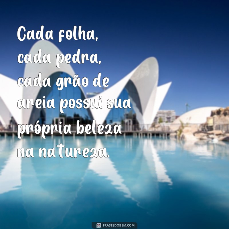 Descubra as mais belas frases de natureza para inspirar seu perfil no Tumblr 