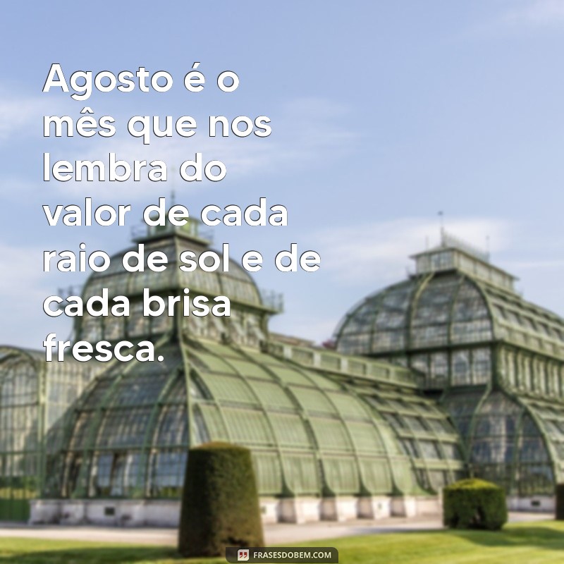 mensagem agosto Agosto é o mês que nos lembra do valor de cada raio de sol e de cada brisa fresca.