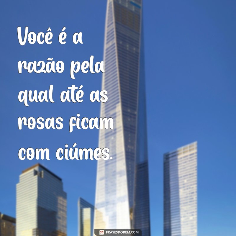 As Melhores Frases de Xaveco para Conquistar e Encantar 