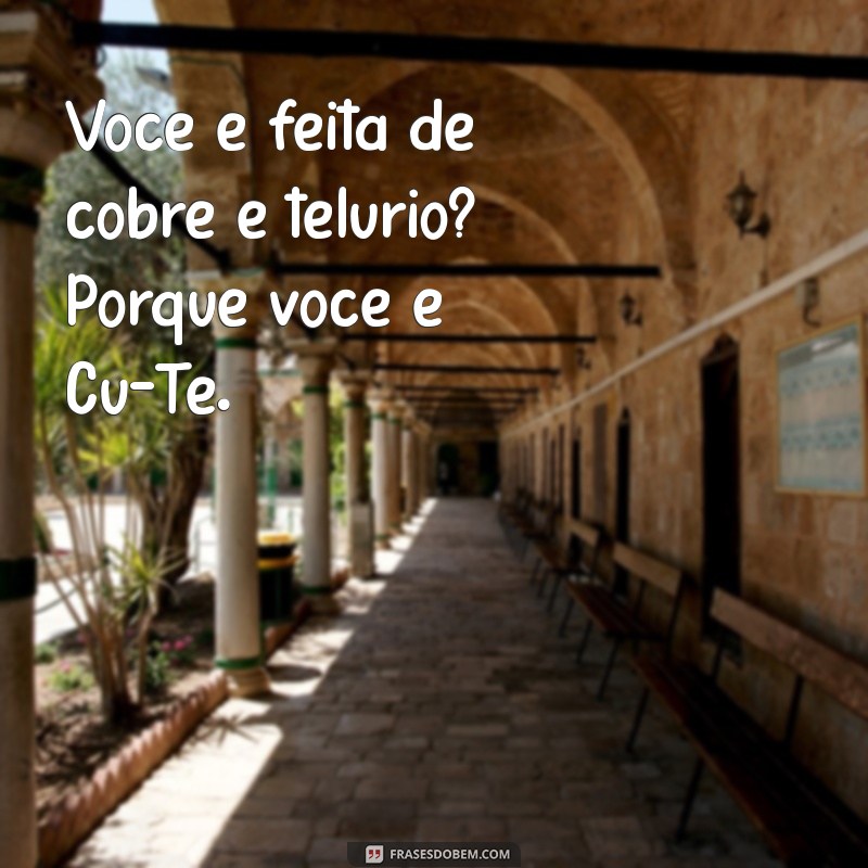 As Melhores Frases de Xaveco para Conquistar e Encantar 