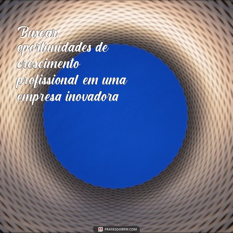 objetivo pra colocar no curriculo Buscar oportunidades de crescimento profissional em uma empresa inovadora.