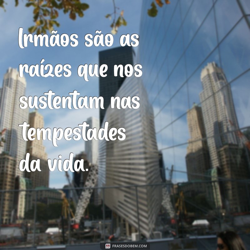 Ideias Inspiradoras: Frases para Celebrar a Relação entre Irmãos 