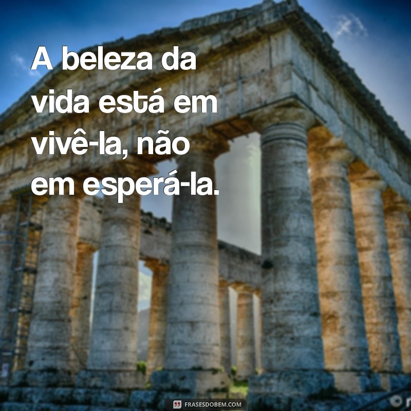 Transforme Sua Vida: Frases Inspiradoras para Viver em vez de Esperar 