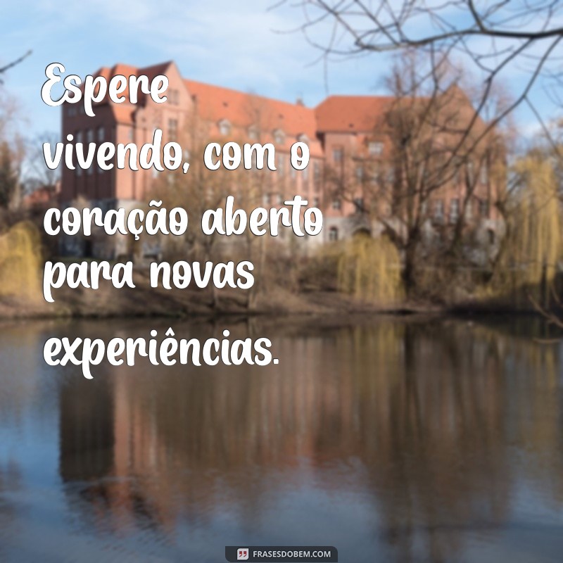 Transforme Sua Vida: Frases Inspiradoras para Viver em vez de Esperar 