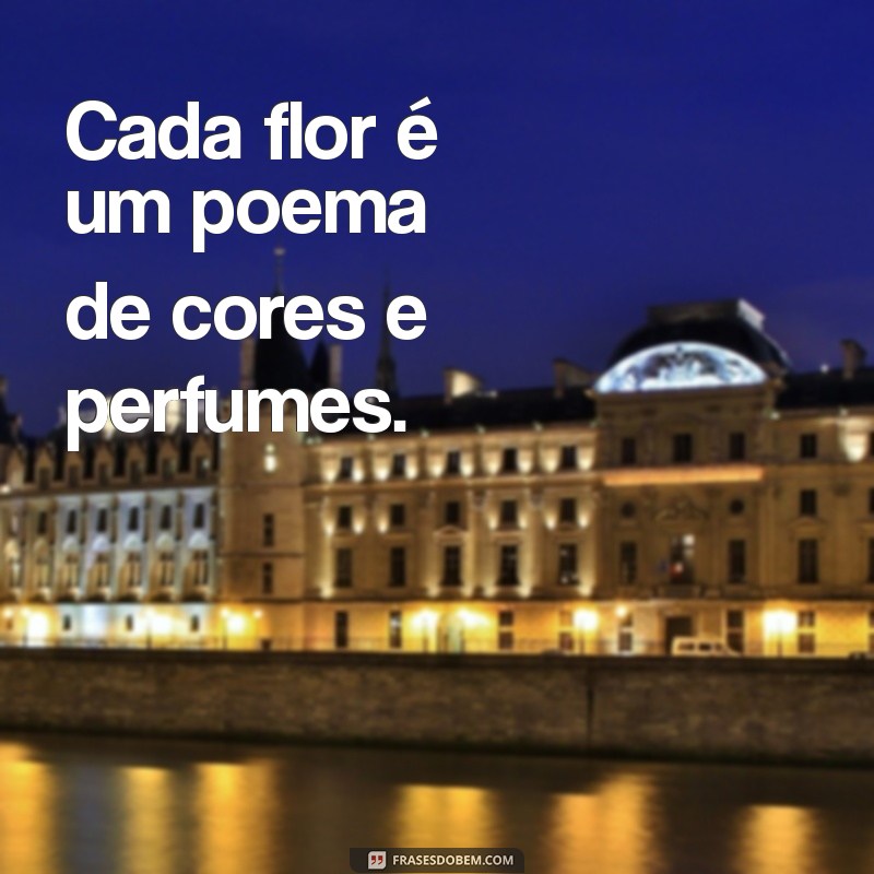 Capturando a Essência: Frases Inspiradoras para Fotos na Natureza 