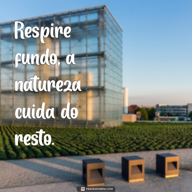 Capturando a Essência: Frases Inspiradoras para Fotos na Natureza 