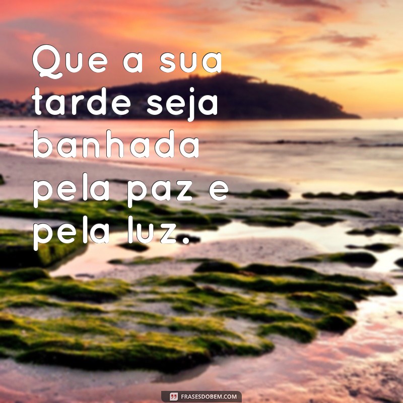 Boa Tarde com Paz: Encontre Serenidade e Harmonia no Seu Dia 