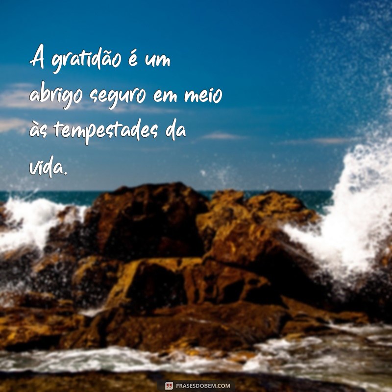 10 Versículos Inspiradores sobre Gratidão para Transformar sua Vida 