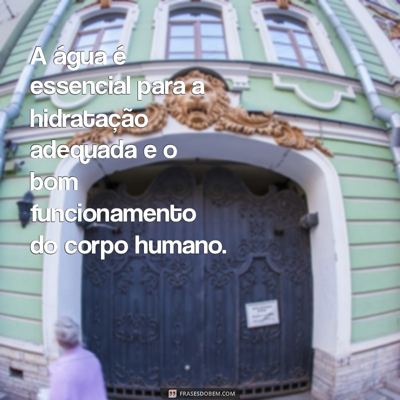 qual a importância da água para nossa vida A água é essencial para a hidratação adequada e o bom funcionamento do corpo humano.