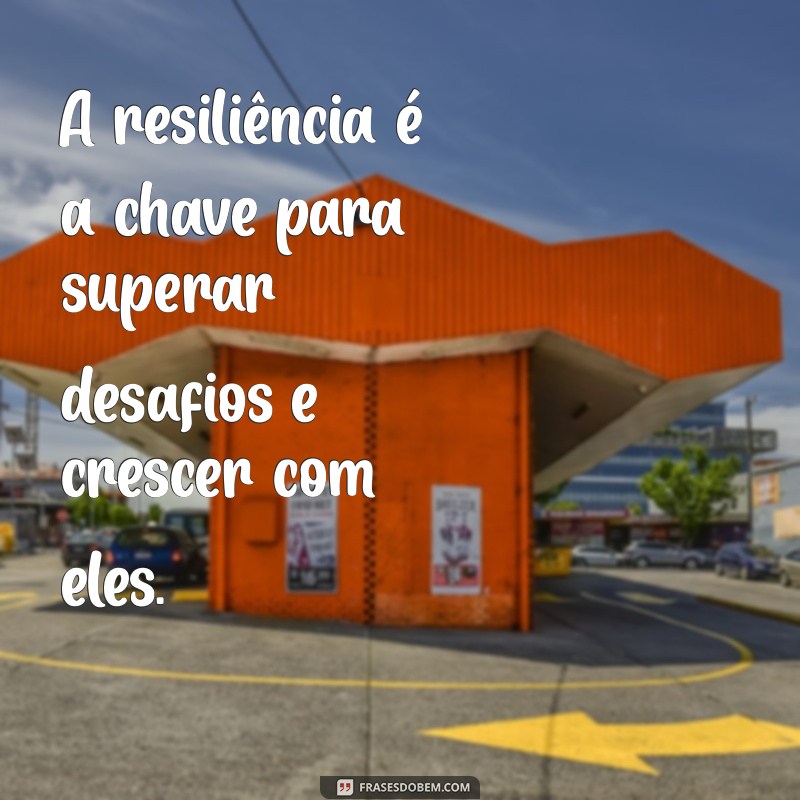 aprendizados da vida A resiliência é a chave para superar desafios e crescer com eles.