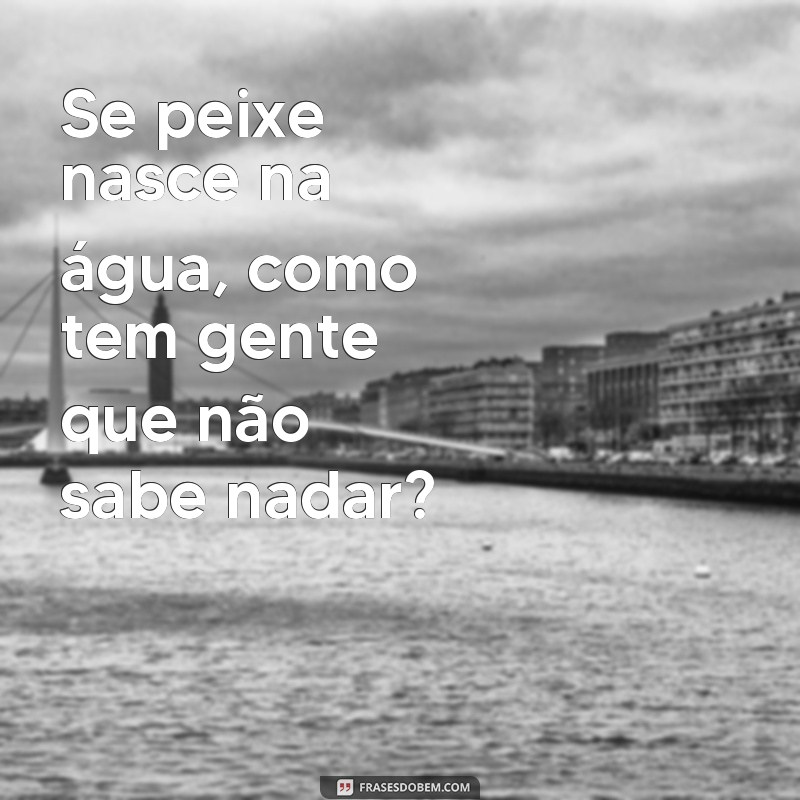 Descubra as melhores frases reflexivas e engraçadas para alegrar o seu dia! 