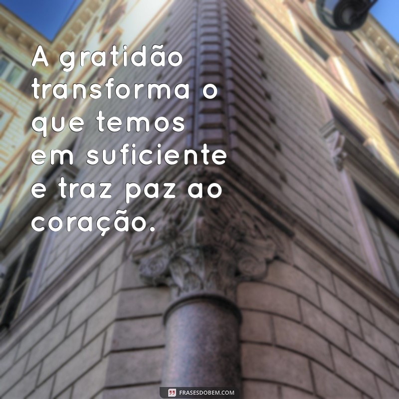 frases de espiritualidade positiva A gratidão transforma o que temos em suficiente e traz paz ao coração.