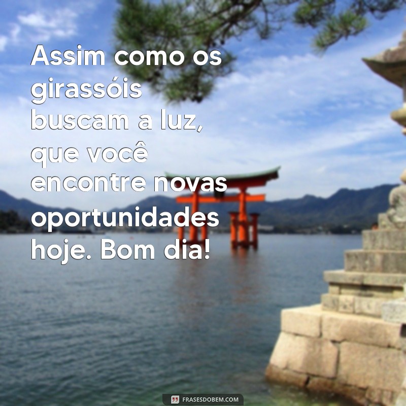 Mensagem de Bom Dia com Girassóis: Inspiração e Alegria para Começar o Dia 