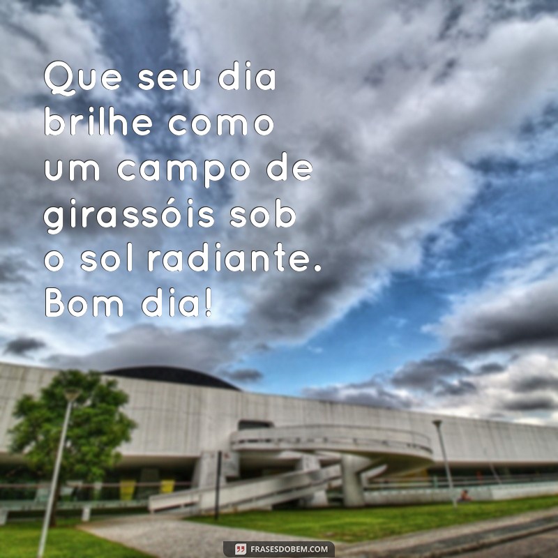 mensagem de bom dia de girassol Que seu dia brilhe como um campo de girassóis sob o sol radiante. Bom dia!