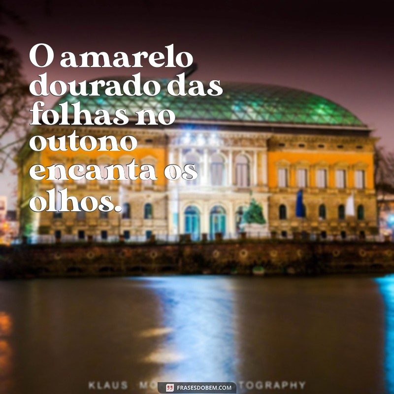 Frases Inspiradoras com a Cor Amarelo: Brilhe com Positividade e Energia 