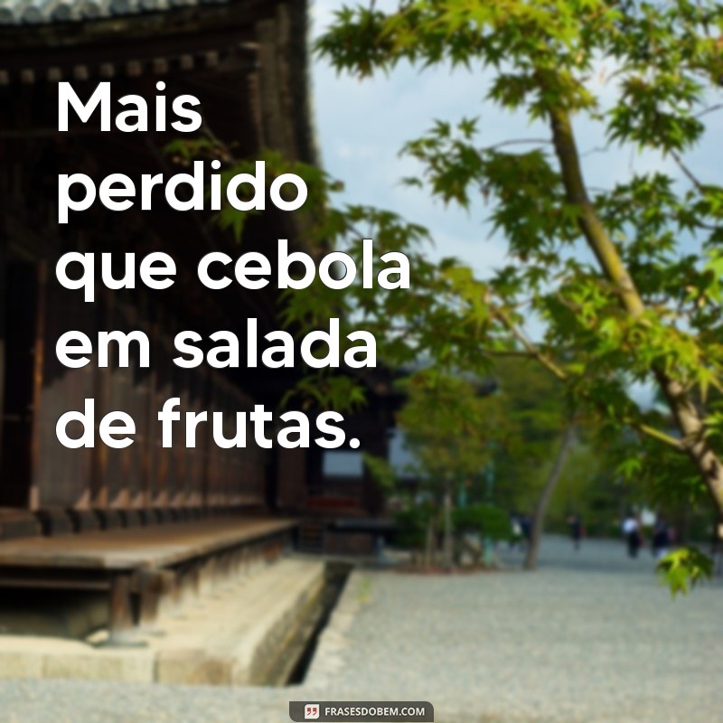 As Melhores Frases do Nordeste: Cultura e Sabedoria Popular 