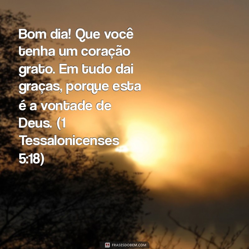 Mensagens de Bom Dia Inspiradas na Bíblia: Encontre Paz e Motivação Diária 