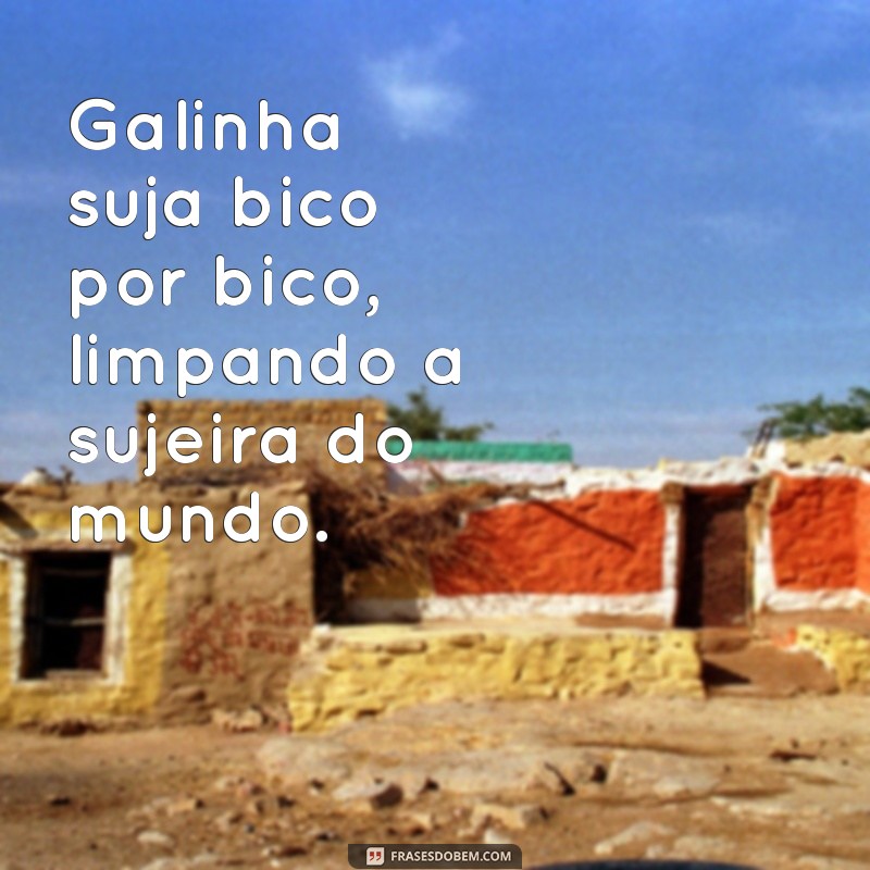 Frases Criativas e Engraçadas com Galinhas para Alegrar o Seu Dia 