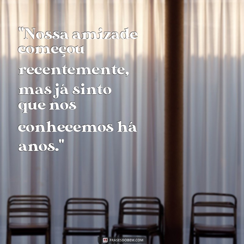 frases de amizade recente 