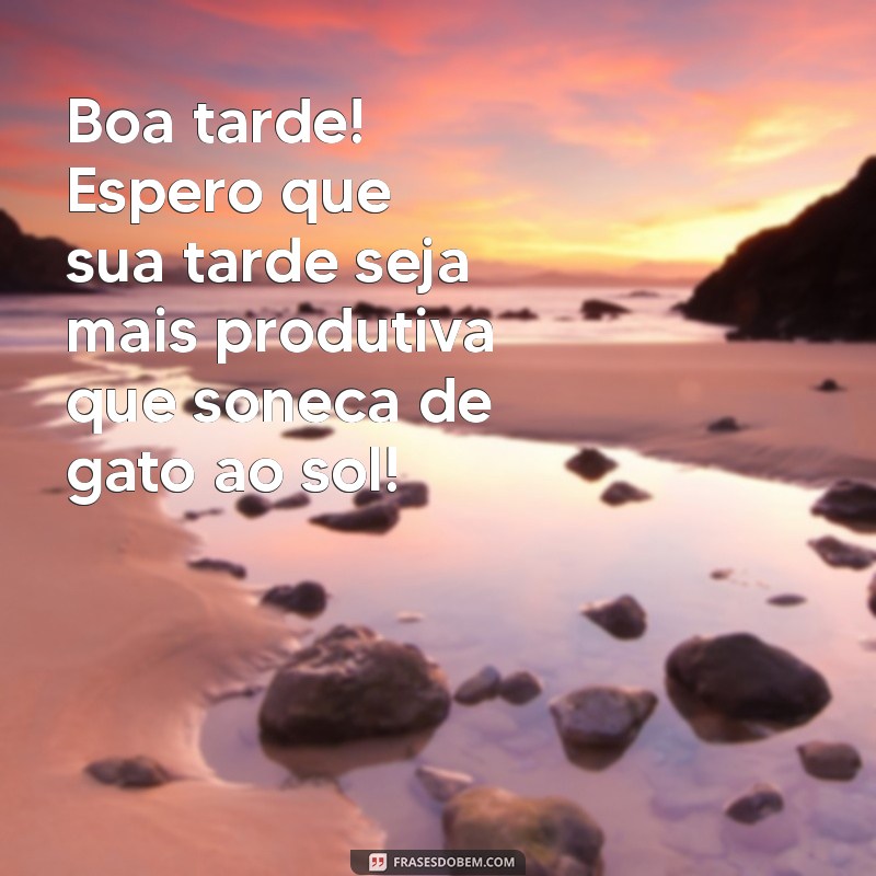 boa tarde divertida Boa tarde! Espero que sua tarde seja mais produtiva que soneca de gato ao sol!