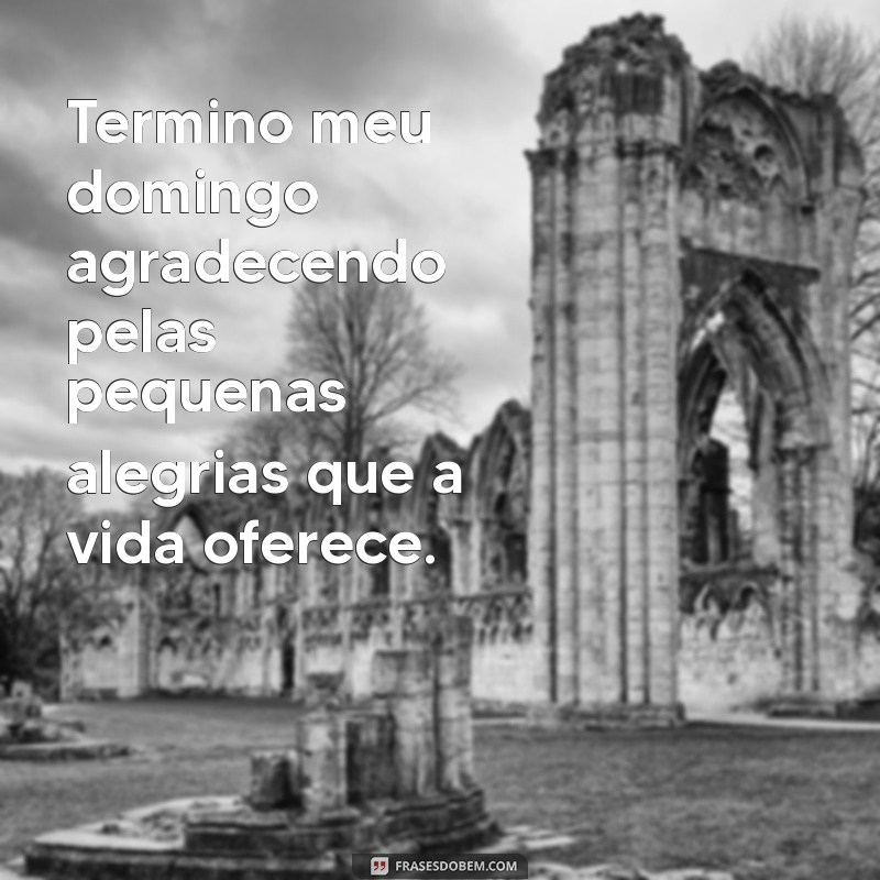 termino meu domingo Termino meu domingo agradecendo pelas pequenas alegrias que a vida oferece.