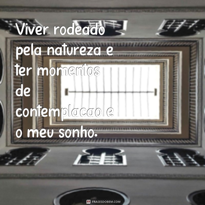 Descubra as melhores frases para realizar seus sonhos 