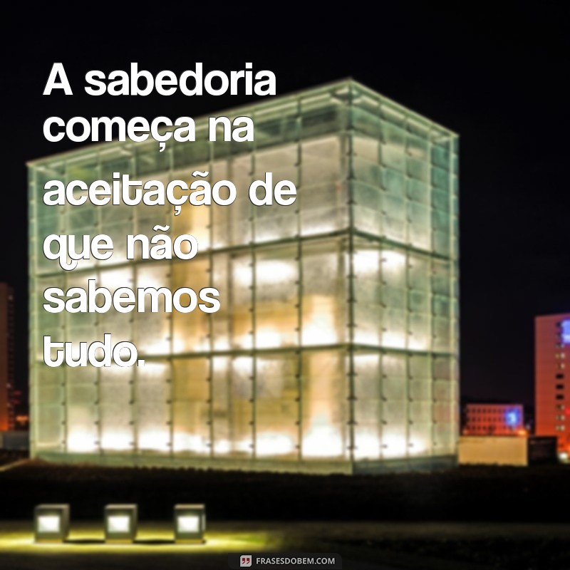 Imagens Inspiradoras com Frases de Reflexão para Transformar seu Dia 