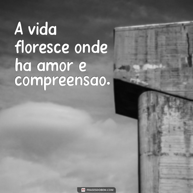 30 Frases Inspiradoras e Lindas Sobre a Vida para Refletir 