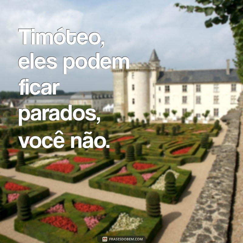 Timóteo: Como Eles Podem e Você Não - Estratégias de Sucesso 