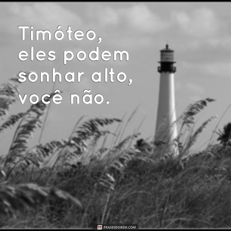 timóteo eles podem você não Timóteo, eles podem sonhar alto, você não.