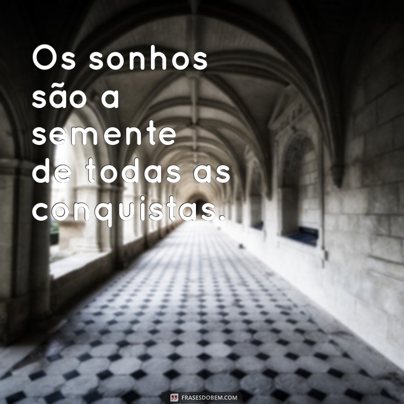 frases sobre sonhos e conquistas Os sonhos são a semente de todas as conquistas.