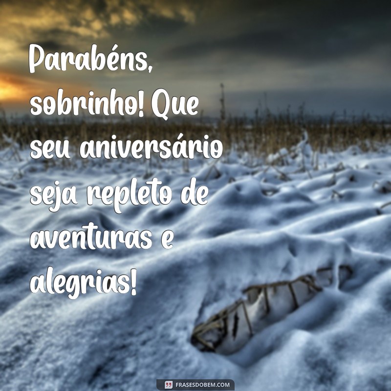 mensagem aniversario sobrinho Parabéns, sobrinho! Que seu aniversário seja repleto de aventuras e alegrias!