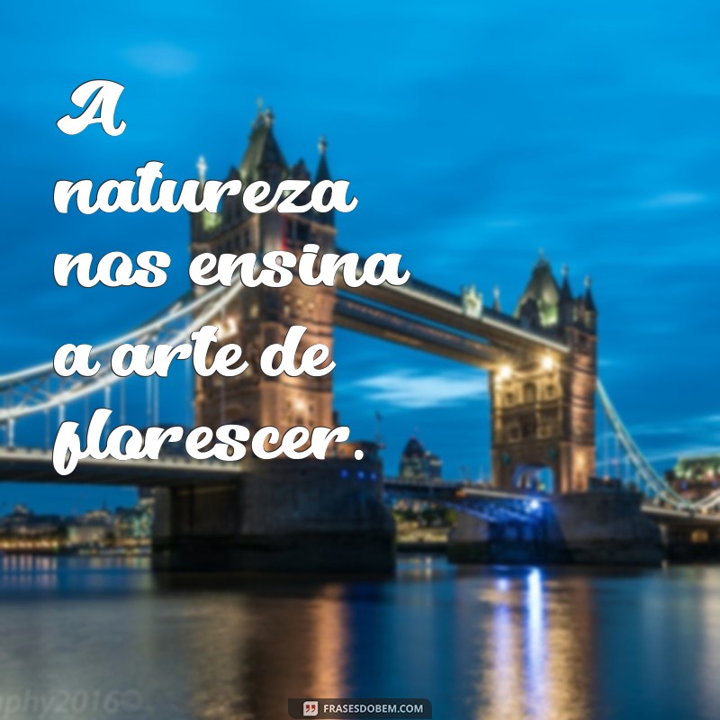 Legendas Inspiradoras: Frases Bonitas para Fotos Perfeitas 