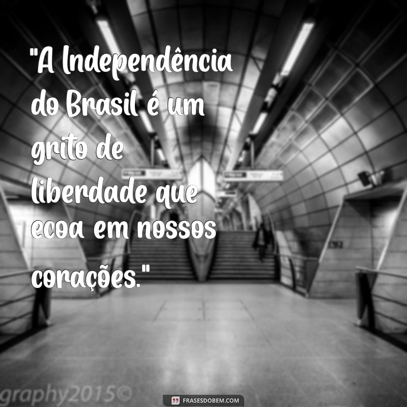 frases independência do brasil 