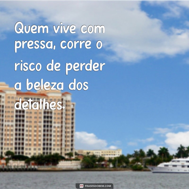 frases sobre pressa Quem vive com pressa, corre o risco de perder a beleza dos detalhes.