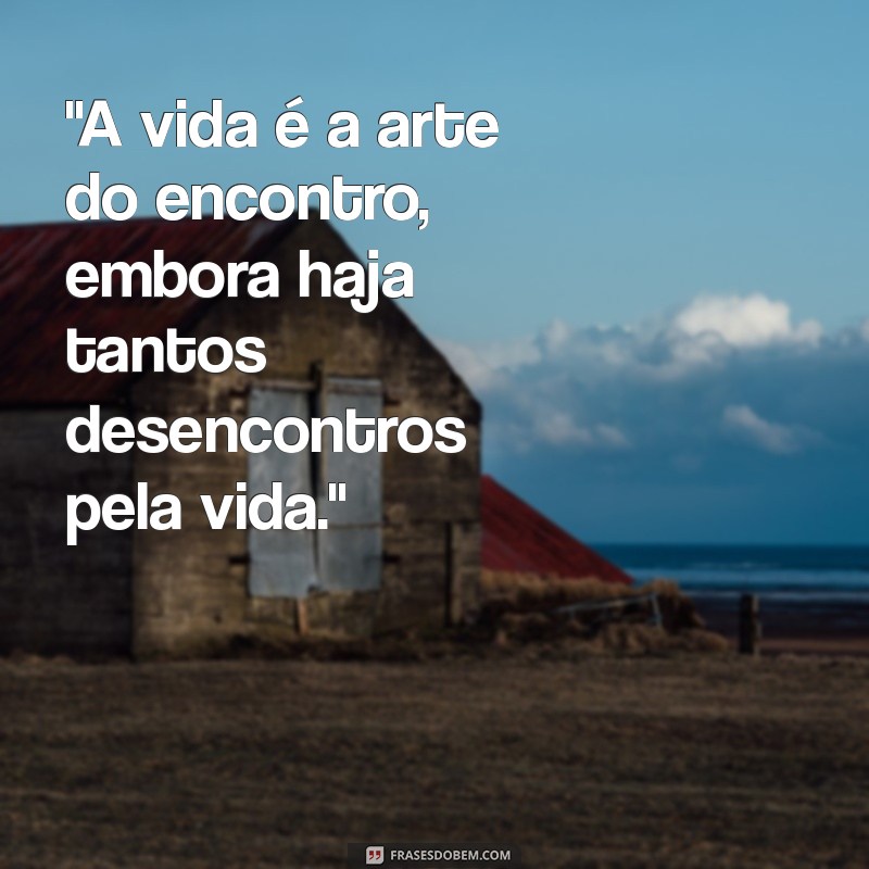 fotos com frases de reflexão 