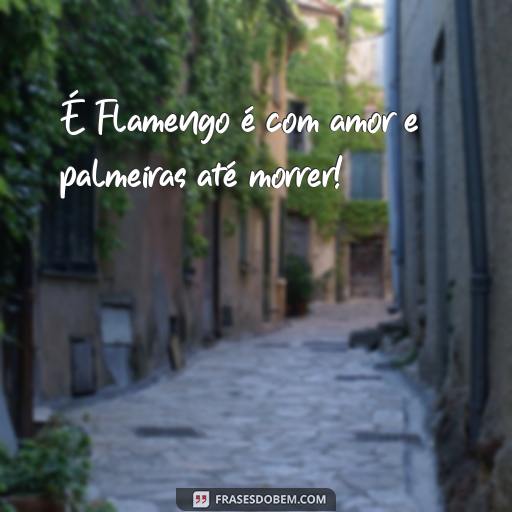 As Melhores Frases e Imagens do Flamengo para Compartilhar É Flamengo é com amor e palmeiras até morrer!