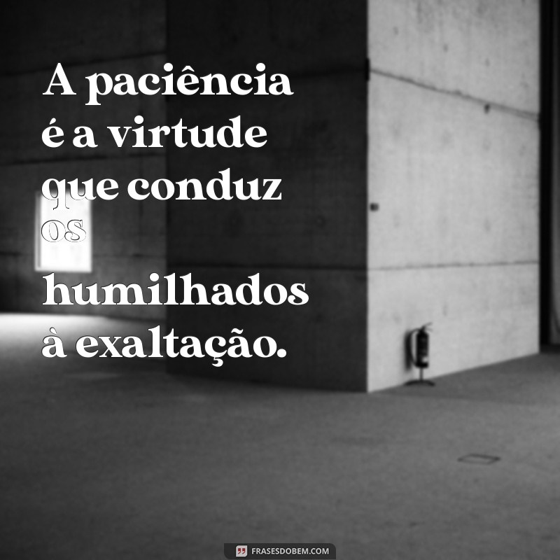 Frases Inspiradoras: Os Humilhados Serão Exaltados 