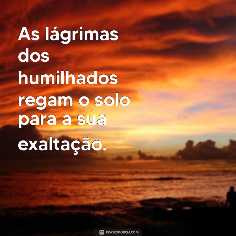 Frases Inspiradoras: Os Humilhados Serão Exaltados 