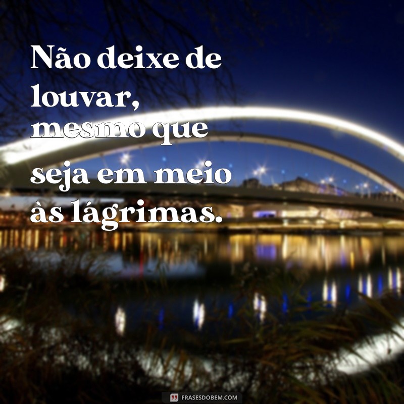 Descubra as melhores frases de louvor que ainda ecoam com vida! 