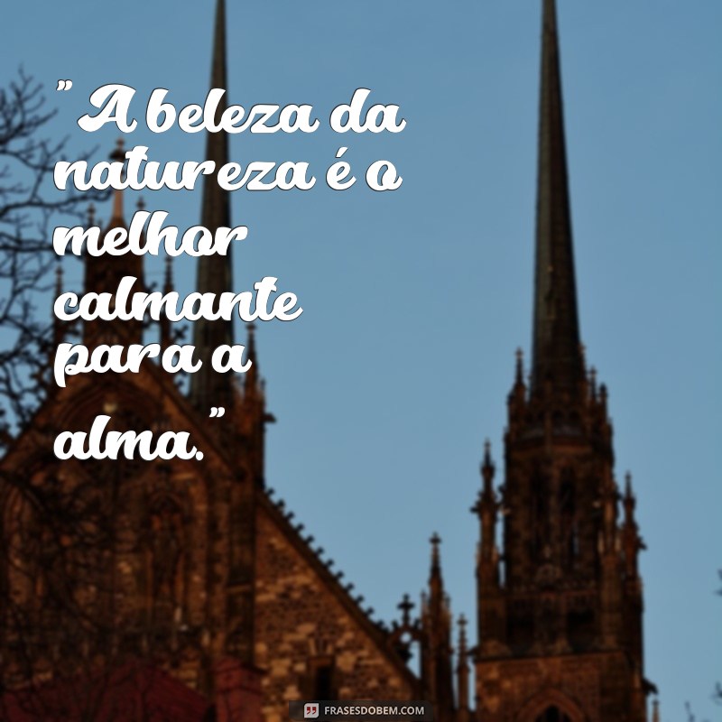 frases para fotos de paisagens 