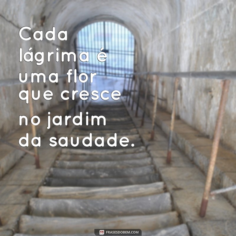 Frases Inspiradoras em Memória de Quem Partiu: Homenagens que Tocam o Coração 