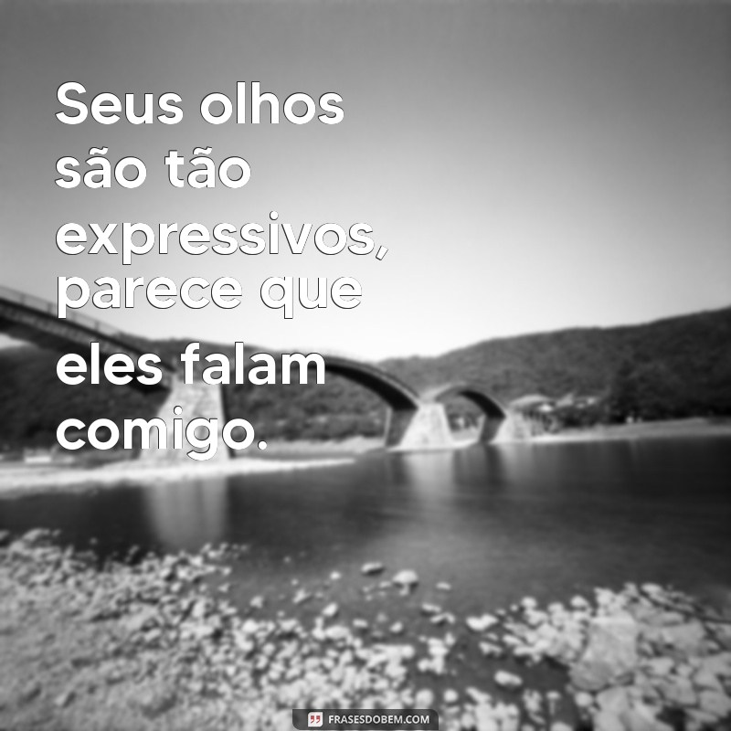 Descubra as melhores frases de olhares para expressar seus sentimentos 