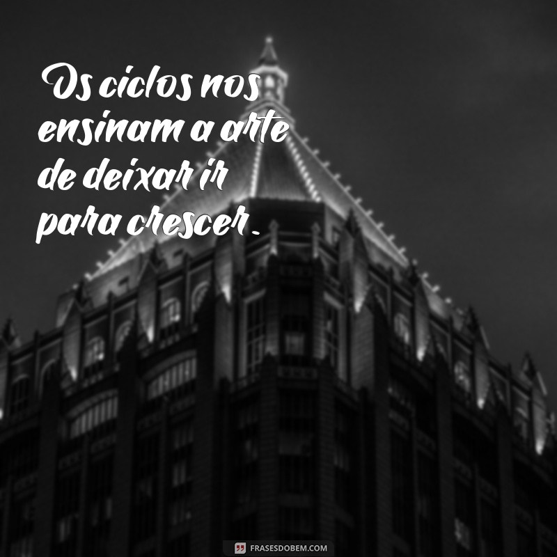 Ciclos da Vida: Mensagens e Lições para o Crescimento Pessoal 