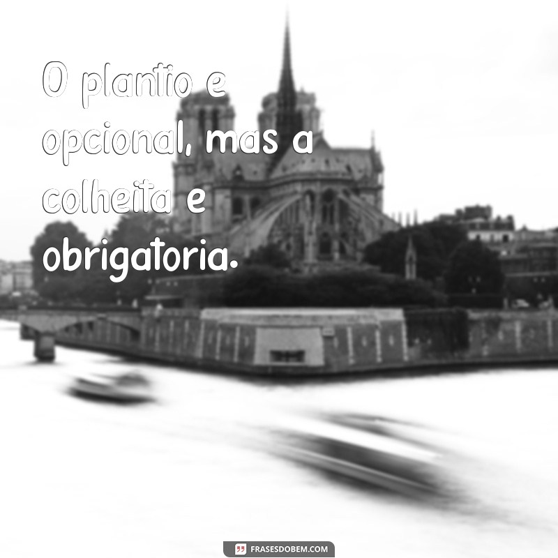 o plantio é opcional mas a colheita é obrigatória O plantio é opcional, mas a colheita é obrigatória.